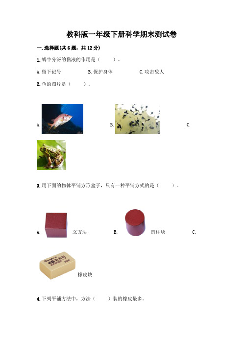 教科版一年级下册科学期末测试卷附参考答案【满分必刷】