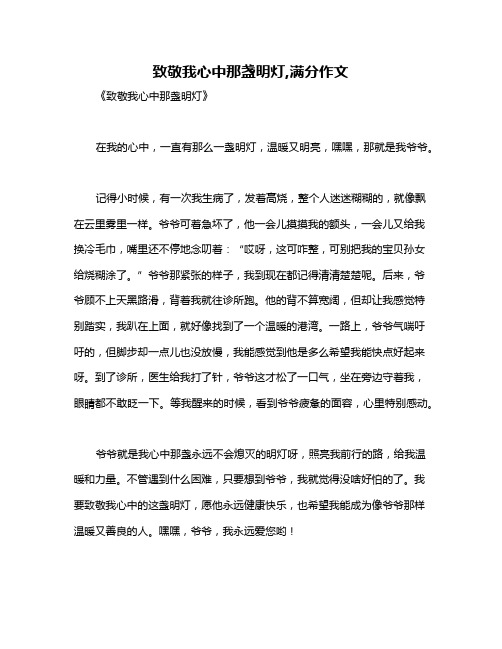 致敬我心中那盏明灯,满分作文