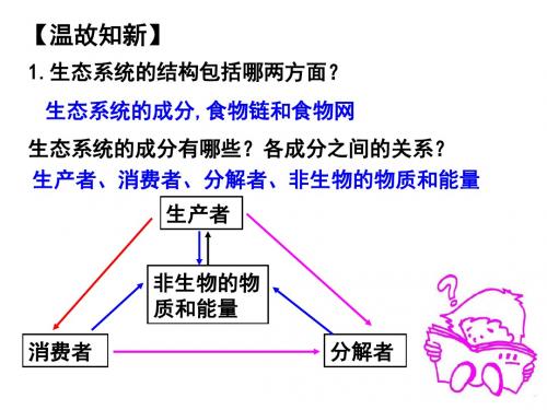 5.2 生态系统的能量流动