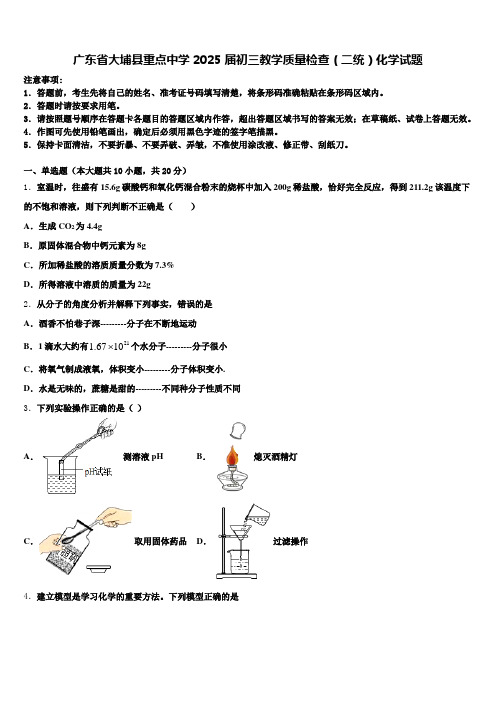 广东省大埔县重点中学2025届初三教学质量检查(二统)化学试题含解析