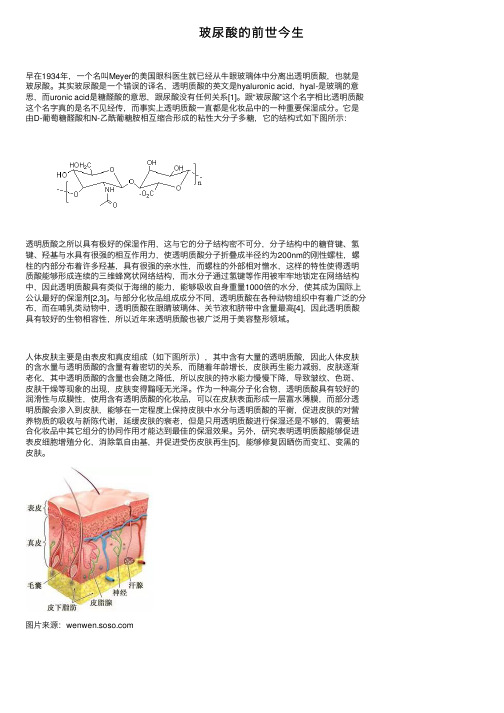 玻尿酸的前世今生