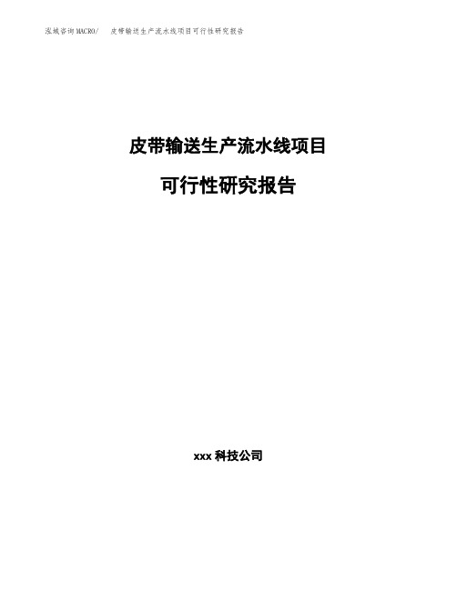 皮带输送生产流水线项目可行性研究报告模板