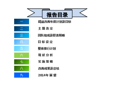 精益示范线项目计划与改善报告PPT课件【精编】