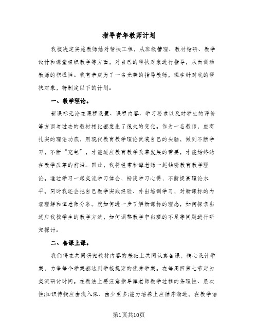 指导青年教师计划(4篇)