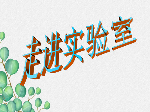 《走进化学  实验室 3》课件 (公开课)2022年九年级化学精品PPT