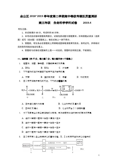 上海市金山区2019年高三高考二模生命科学试题及答案(word版)