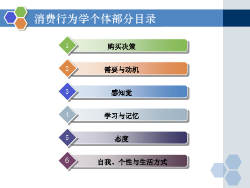 6消费者行为学之自我个性与生活方式SCH10201