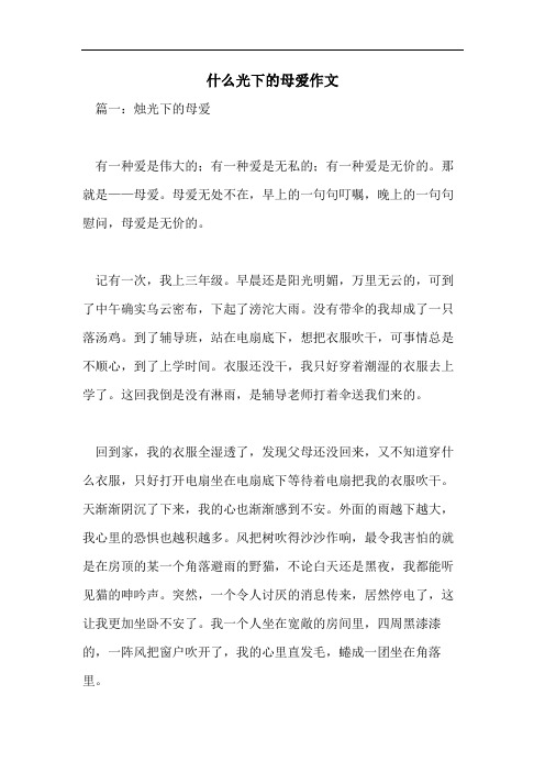 什么光下的母爱作文