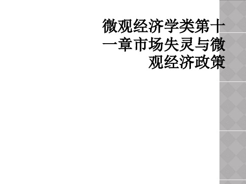 微观经济学类第十一章市场失灵与微观经济政策