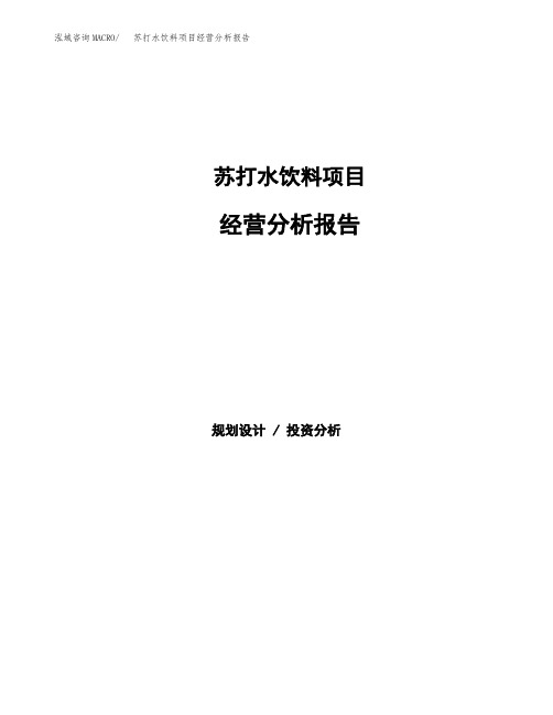 苏打水饮料项目经营分析报告(项目总结分析)