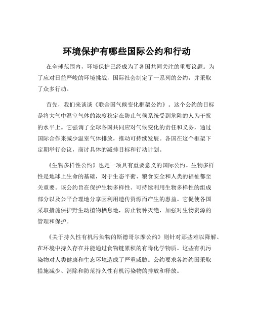 环境保护有哪些国际公约和行动