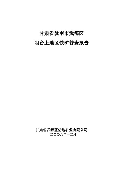 甘肃省陇南市武都区 咀台上地区铁矿普查报告