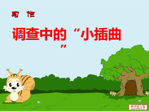 调查中的“小插曲” 习作