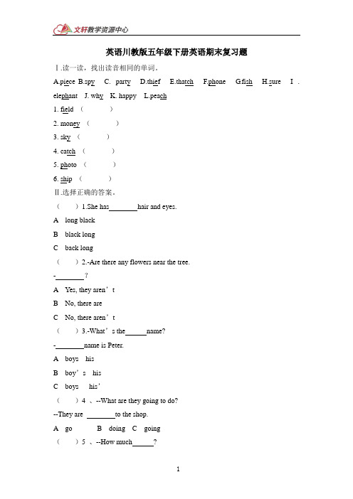 英语川教版五年级下册英语期末复习题 含答案