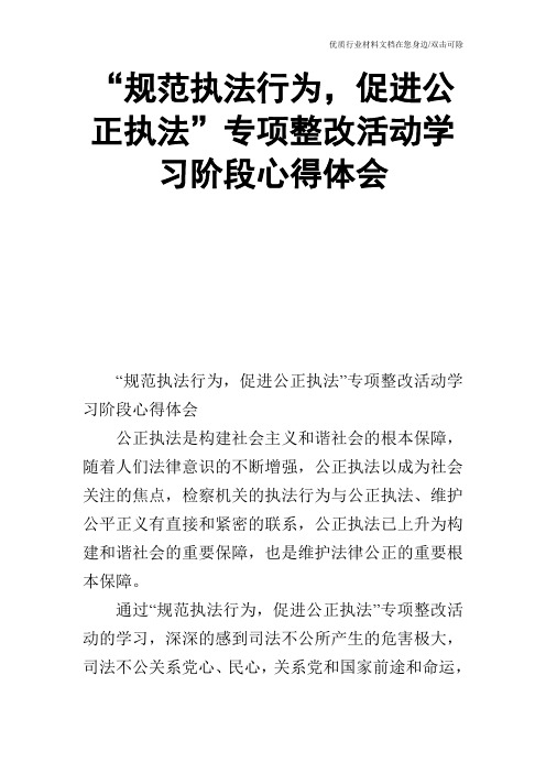 “规范执法行为,促进公正执法”专项整改活动学习阶段心得体会