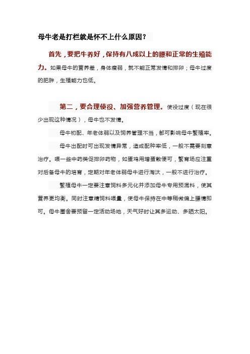 母牛老是打栏就是怀不上什么原因