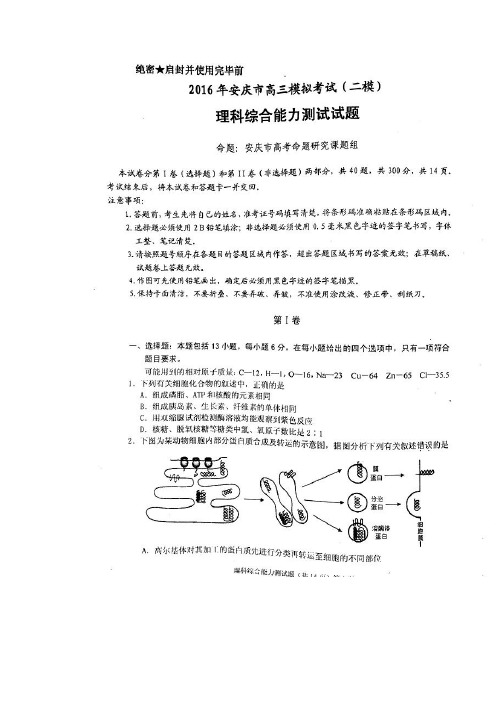 安徽安庆市届高三第二次模拟考试理综试题含答案