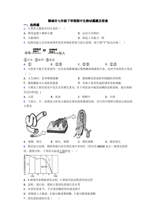 聊城市七年级下学期期中生物试题题及答案