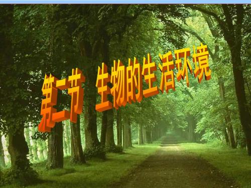 第二节生物的生活环境(共46张PPT)