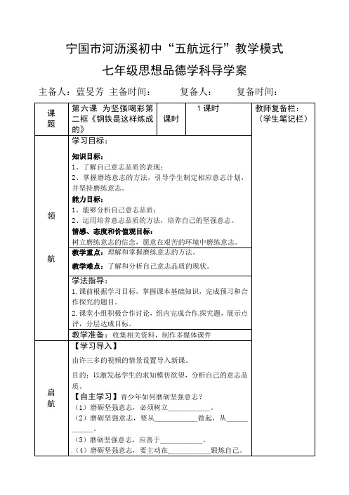 第六课 为坚强喝彩第二框《钢铁是这样炼成的》