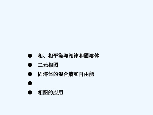 固体物理第三章 相图 PPT