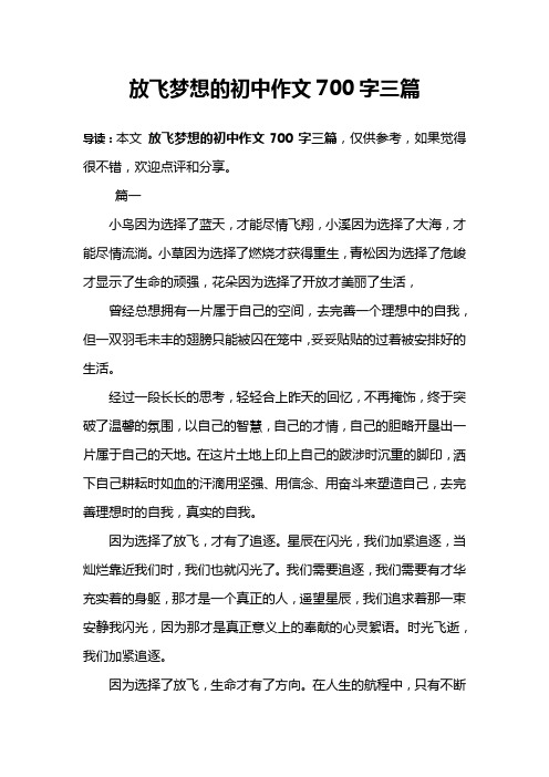 放飞梦想的初中作文700字三篇