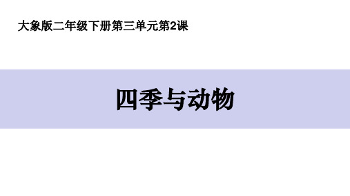 二年级科学四季与动物