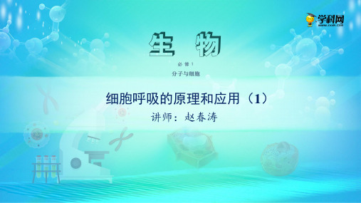 课件 5.3 细胞呼吸的原理和应用(1)-高中生物必修1(新教材同步课件) (共19张PPT)(完美版课件)