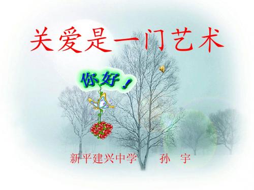 _思想品德:第二单元第四课伸出你的手——关爱是一门艺术课件(人民版九年级上)