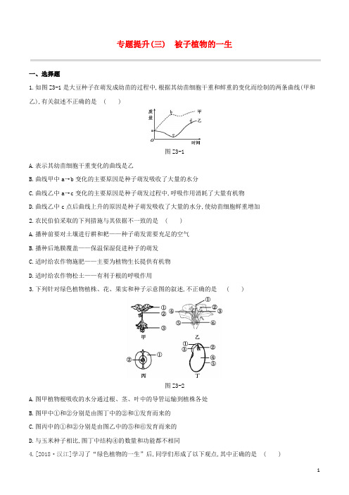 (包头专版)2020中考生物复习方案专题提升(03)被子植物的一生试题