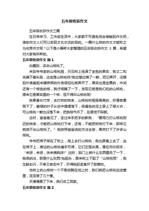 五年级收获作文三篇