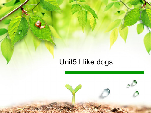 Unit5Ilikedogs(课件)剑桥少儿英语预备级下册