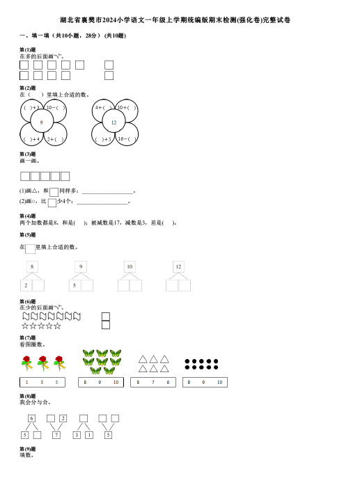 湖北省襄樊市2024小学数学一年级上学期统编版期末检测(强化卷)完整试卷