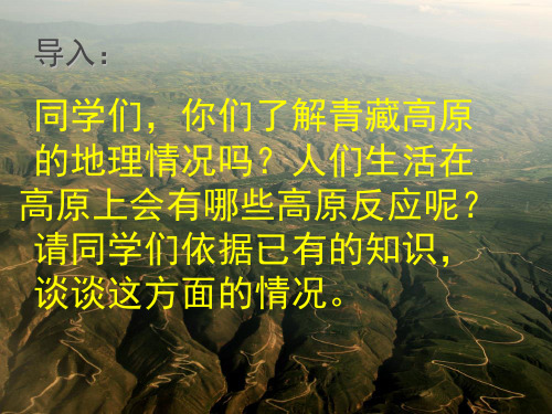 必修四第一课高原女兵阅读理解PPT课件