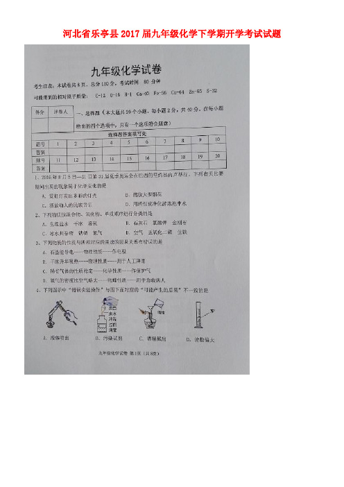 河北省乐亭县九年级化学下学期开学考试试题(扫描版)