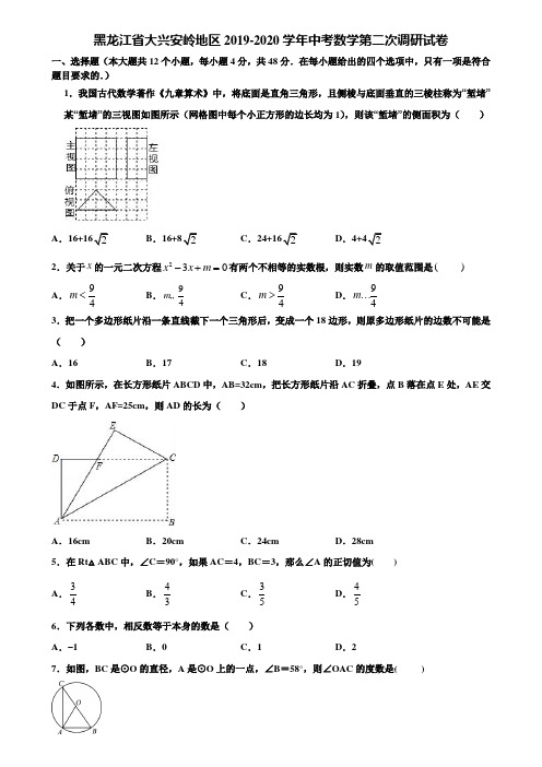 黑龙江省大兴安岭地区2019-2020学年中考数学第二次调研试卷含解析