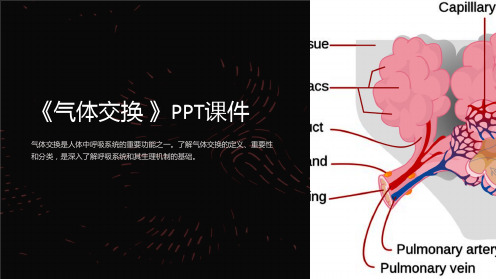 《气体交换 》课件