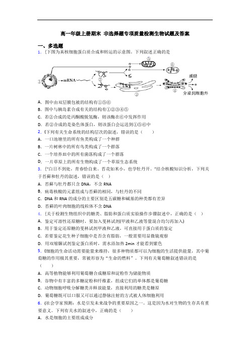 高一年级上册期末 非选择题专项质量检测生物试题及答案