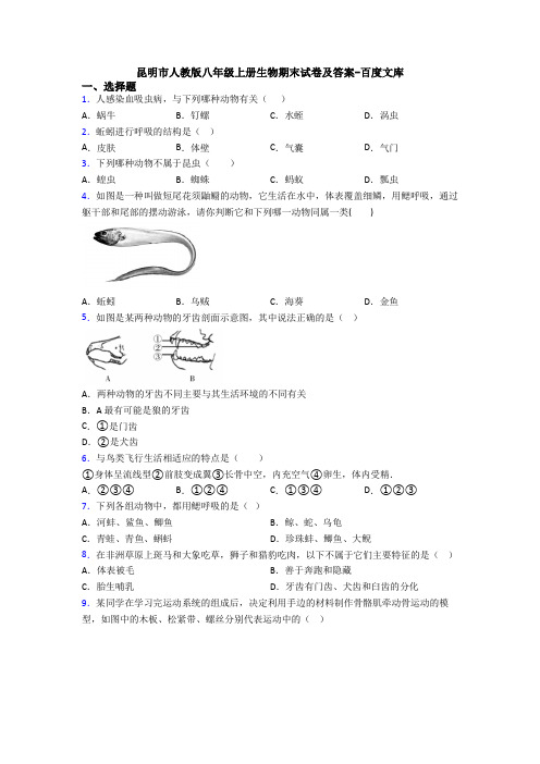 昆明市人教版八年级上册生物期末试卷及答案-百度文库