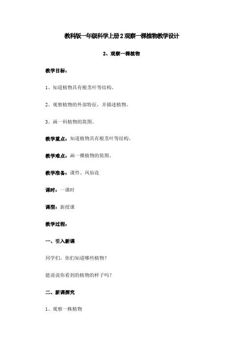 教科版一年级科学上册2观察一棵植物教学设计