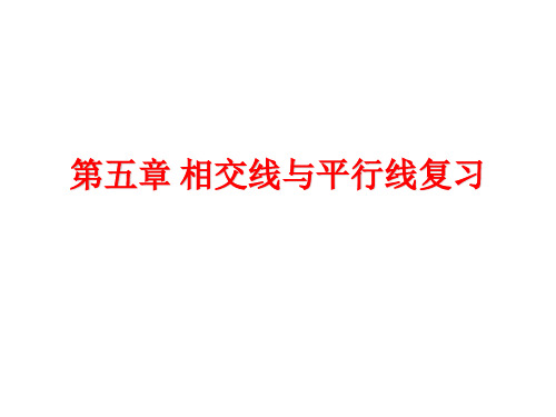 七年级下册数学(第五——第七章)复习课件