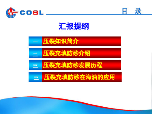 I压裂充填防砂技术与应用现状