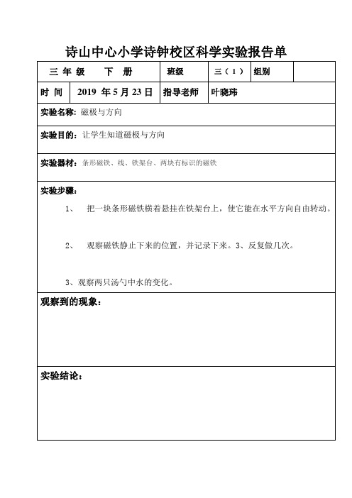 磁极科学实验报告单