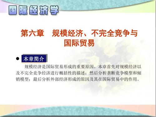 国际经济：第六章 规模经济、不完全竞争与国际贸易【PPT版】29页PPT