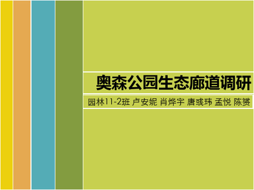 奥林匹克森林公园绿色廊道调研报告