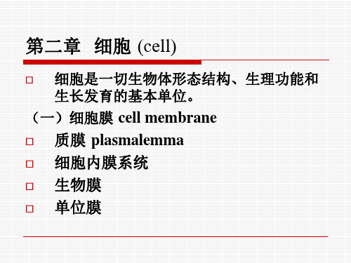 医学-组织学与胚胎学-细胞 (cell)