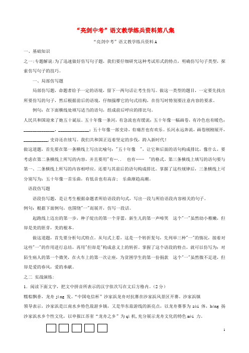 中考语文 教学练兵资料 第8集