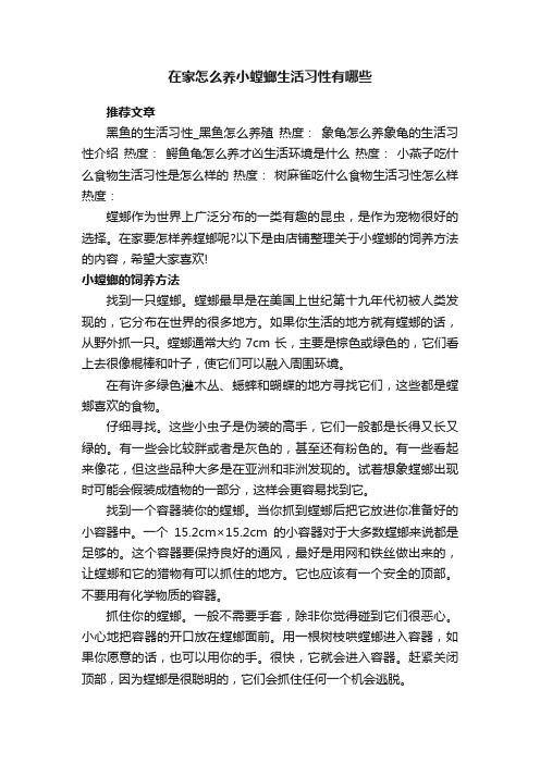 在家怎么养小螳螂生活习性有哪些