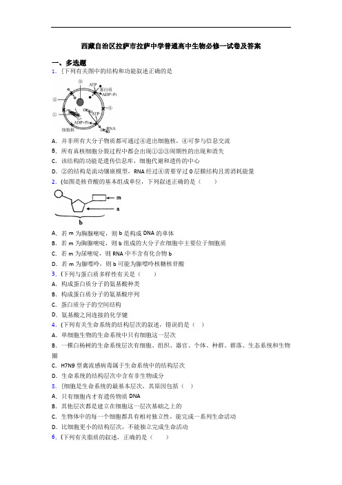 西藏自治区拉萨市拉萨中学普通高中生物必修一试卷及答案