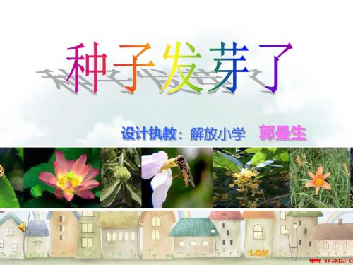 青岛版科学四下《种子发芽了》PPT课件5